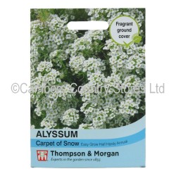 Thompson & Morgan Alyssum Carpet Of Snow