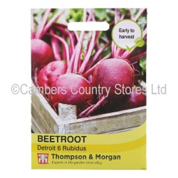 Thompson & Morgan Beetroot Detroit 6 Rubidus