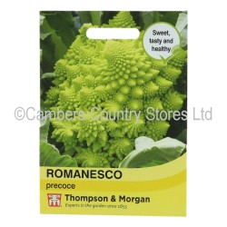 Thompson & Morgan Romanesco Precoce