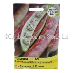 Thompson & Morgan Climbing Bean Firetongue