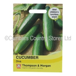 Thompson & Morgan Cucumber Diva