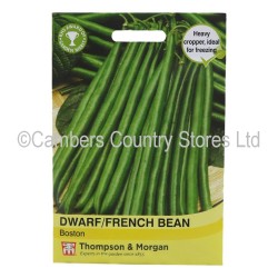 Thompson & Morgan Dwarf/French Bean Boston