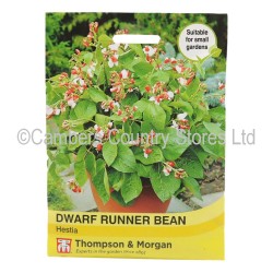 Thompson & Morgan Dwarf Runner Bean Hestia