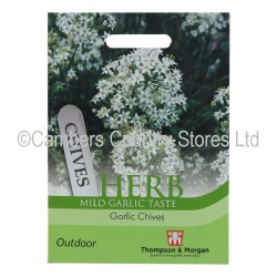 Thompson & Morgan Herb Garlic Chives