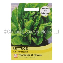 Thompson & Morgan Lettuce All Year Round