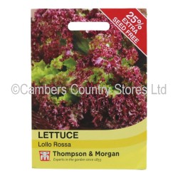 Thompson & Morgan Lettuce Lollo Rossa