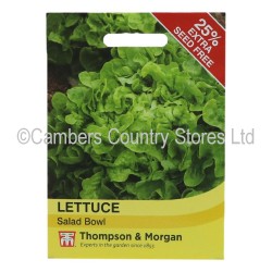 Thompson & Morgan Lettuce Salad Bowl