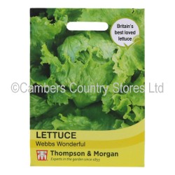 Thompson & Morgan Lettuce Webbs Wonderful