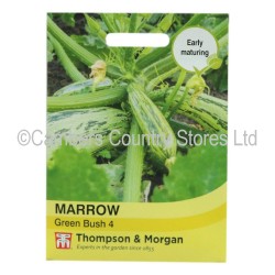 Thompson & Morgan Marrow Green Bush 4