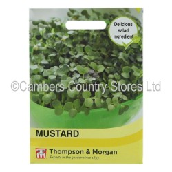 Thompson & Morgan Mustard