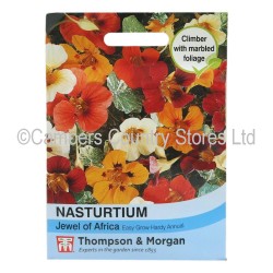 Thompson & Morgan Nasturtium Jewel Of Africa