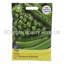 Thompson & Morgan Pea Jumbo