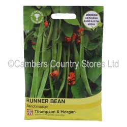 Thompson & Morgan Runner Bean Benchmaster