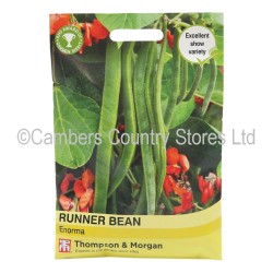 Thompson & Morgan Runner Bean Enorma