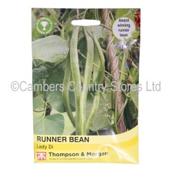 Thompson & Morgan Runner Bean Lady Di