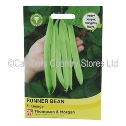 Thompson & Morgan Runner Bean St George