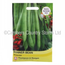 Thompson & Morgan Runner Bean Tenderstar