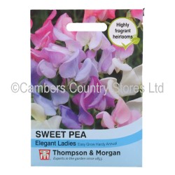 Thompson & Morgan Sweet Pea Elegant Ladies Mix