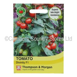 Thompson & Morgan Tomato Divinity F1