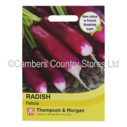 Thompson & Morgan Radish Felicia