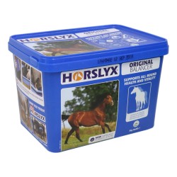 Horslyx Balancer Lick Original 5kg