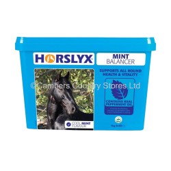 Horslyx Mint Balancer Lick 5kg