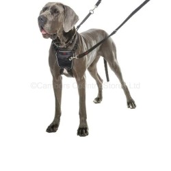 Halti No Pull Dog Harness