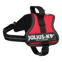 Julius-K9 Power Harness