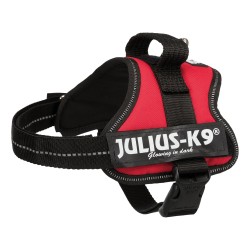 Julius-K9 Power Harness