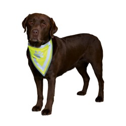 Trixie Safety Dog Neckerchief