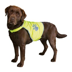 Trixie Safety Vest For Dogs