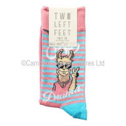 Two Left Feet Pair Of Socks No Drama Llama