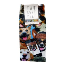 Two Left Feet Pair Of Socks Dog Photos