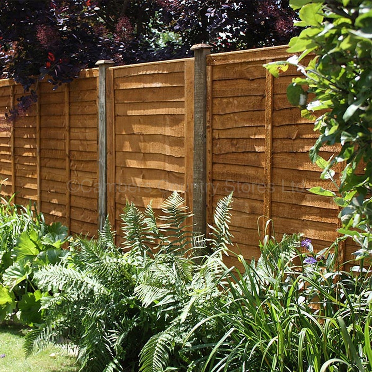 Lap Fence Panel Dipped Gold 6' x 5'