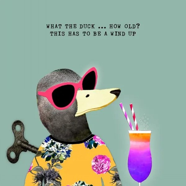 Sally Scaffardi Design Card How Old Wind Up?