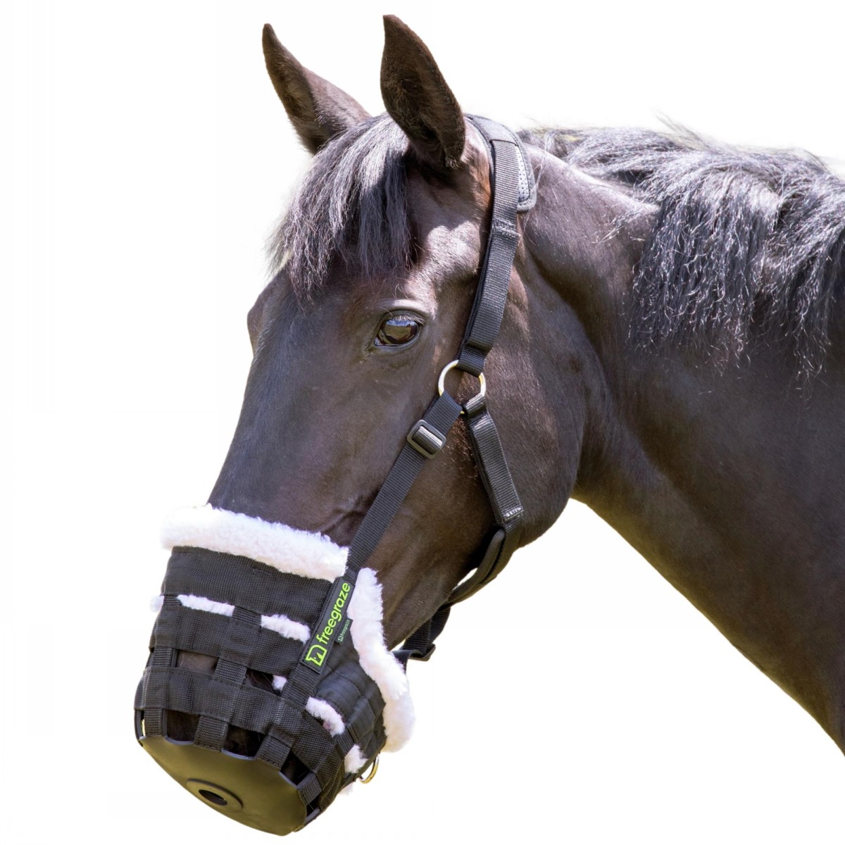 Shires Deluxe Comfort Grazing Muzzle - Image 2