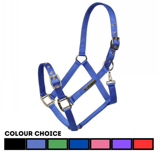 Arma Adjustable Headcollar - Image 3