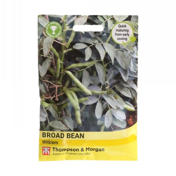 Thompson & Morgan Broad Bean Witkiem