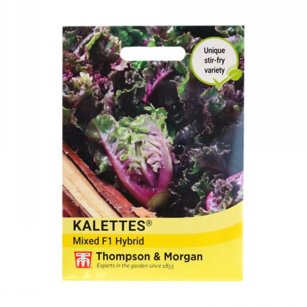 Thompson & Morgan Kalettes Mixed F1 Hybrid