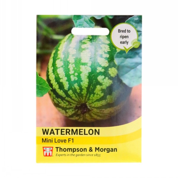 Thompson & Morgan Watermelon Mini Love F1