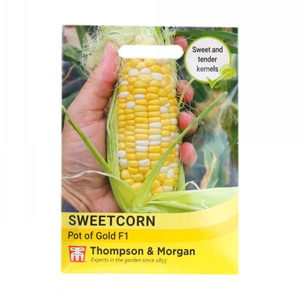 Thompson & Morgan Sweetcorn Pot Of Gold