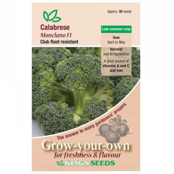 Kings Seeds Calabrese Monclano F1