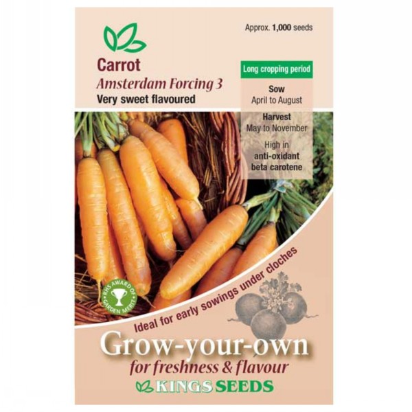 Kings Seeds Carrot Amsterdam Forcing 3