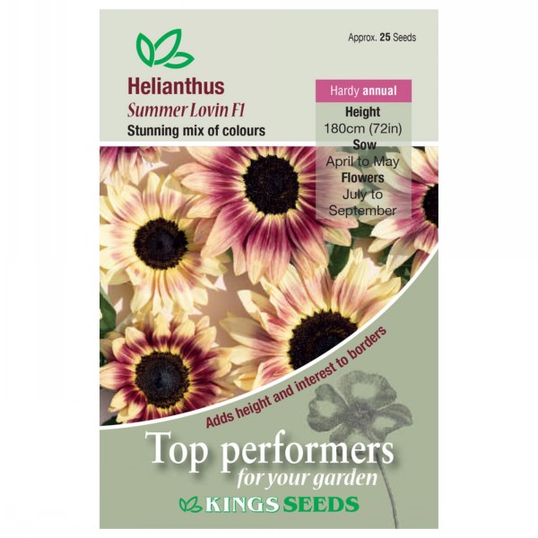 Kings Seeds Sunflower Summer Lovin F1