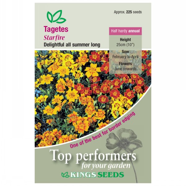Kings Seeds Tagetes Starfire