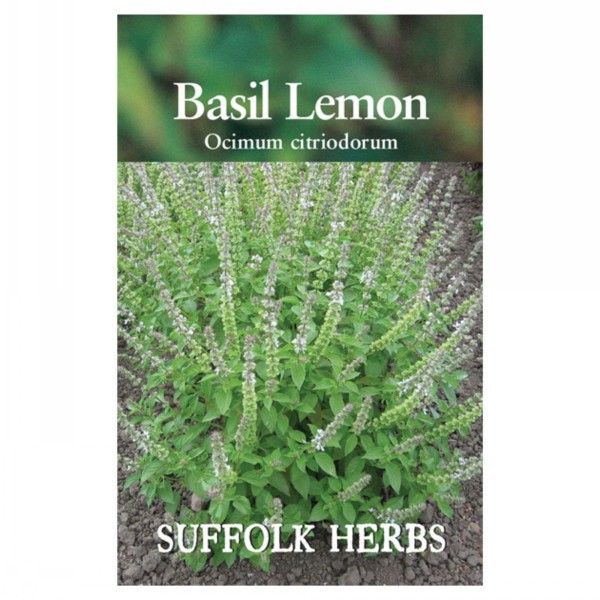 Kings Seeds Suffolk Herbs Basil Lemon