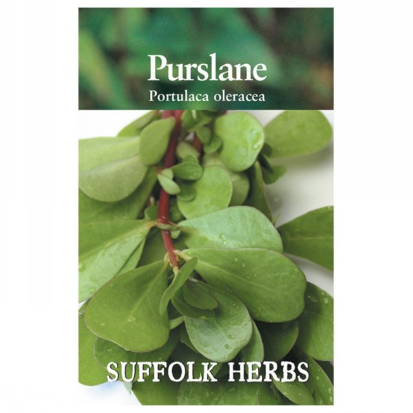 Kings Seeds Suffolk Herbs Purslane Green