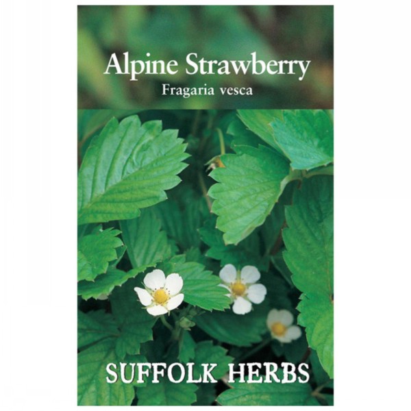 Kings Seeds Suffolk Herbs Strawberry Alpine