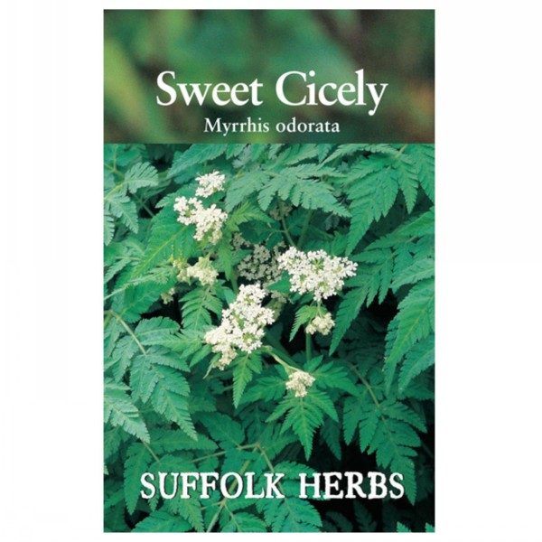 Kings Seeds Suffolk Herbs Sweet Cicely