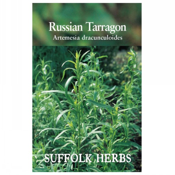Kings Seeds Suffolk Herbs Tarragon Russian